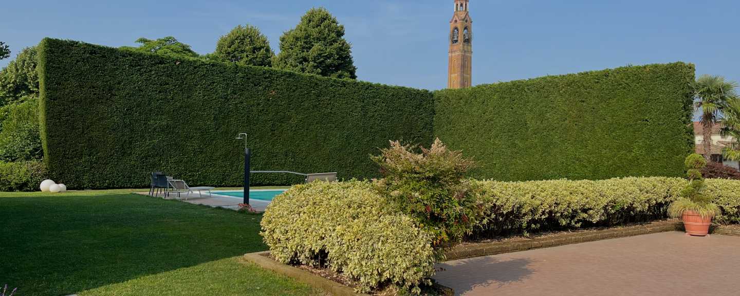Realizzazione giardini